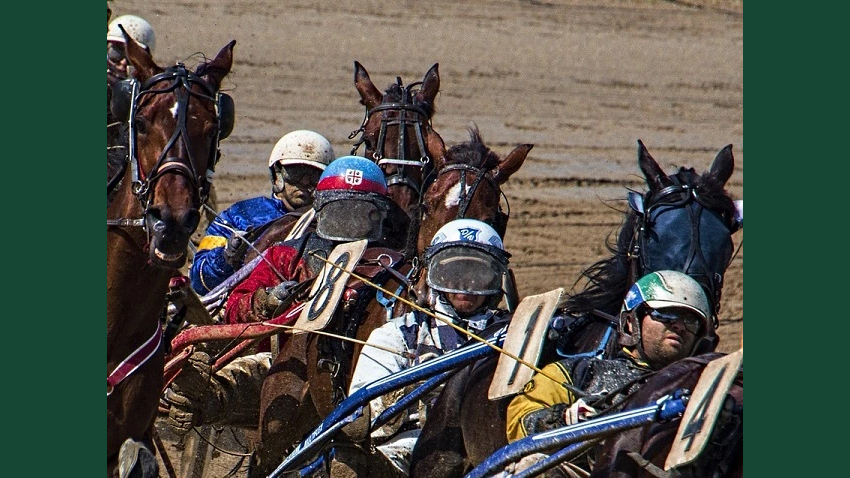 Närbild på travkuskar bakom hästar på travbana under ett lopp.