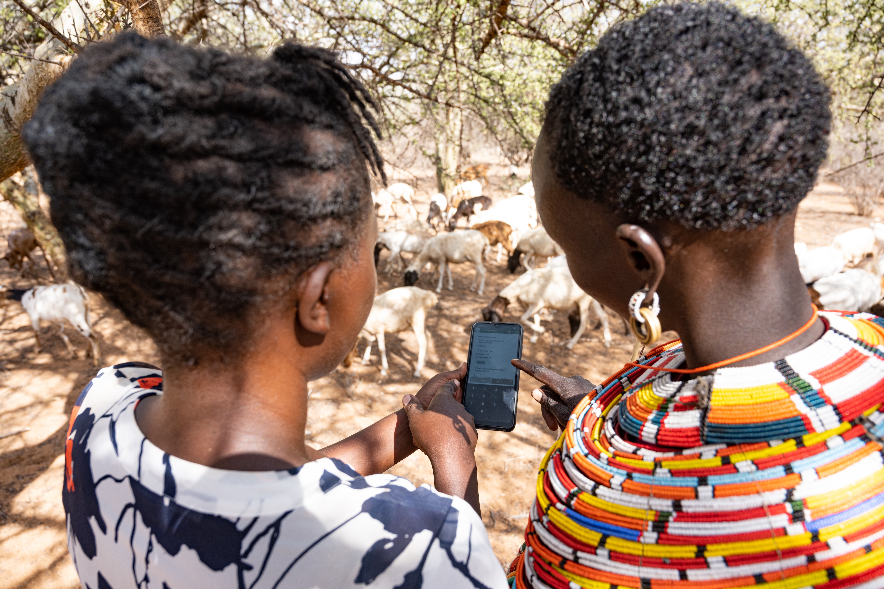 The Rangeland Module of the Regreening App in action, as users document restoration activities in the field. Photo credit: Kelvin Trautman / ICRAF