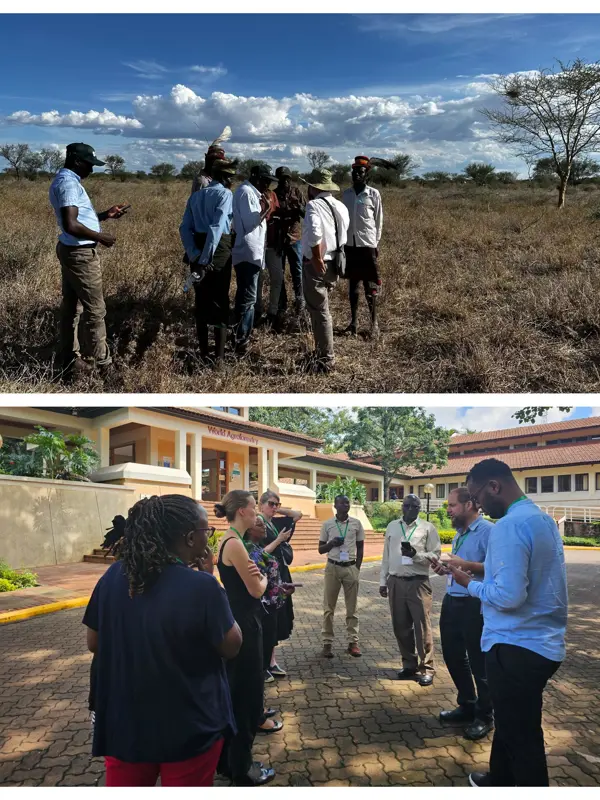 Testing the Rangeland Module in Moroto, Uganda (top), and during a project workshop in Nairobi (bottom). Photo credit: Nathaniel Robinson/ICRAF; Aida Bargués-Tobella