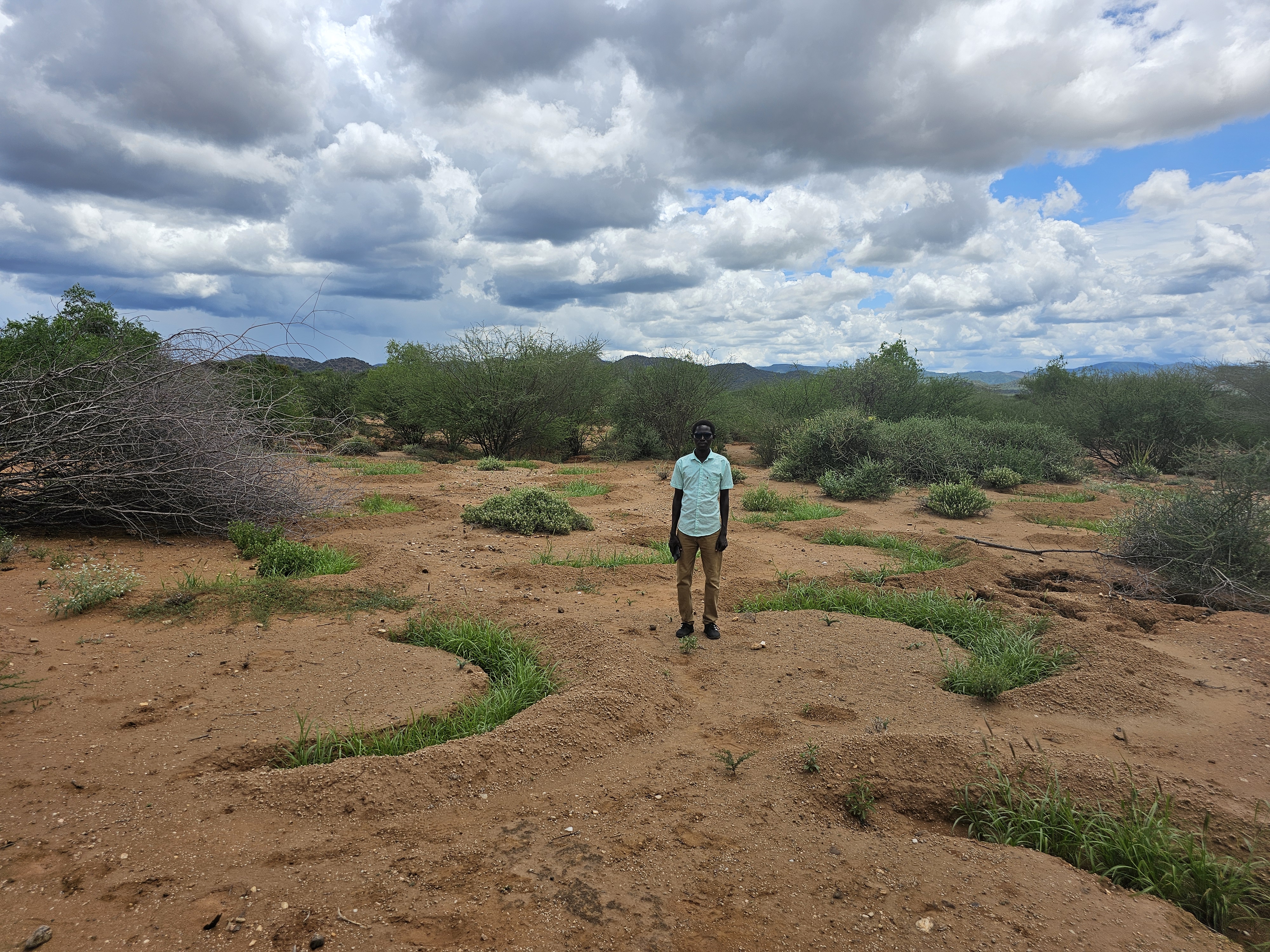 Halfmoon microcatchments established in one of the Livestock Cafés in Lokiriama, Turkana County, Kenya. Photo credit: Aida Bargués-Tobella