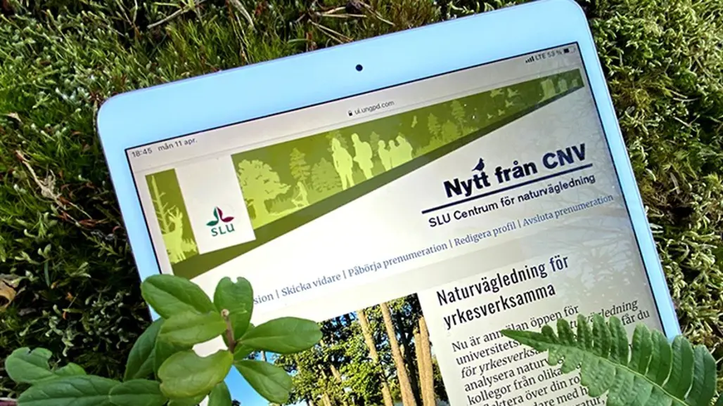 Nytt från CNV