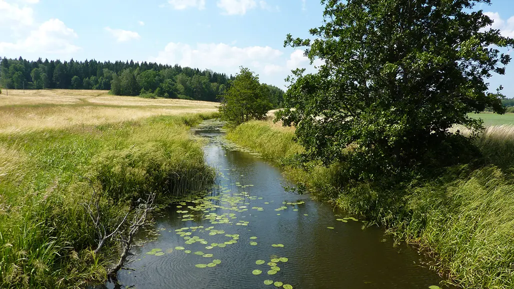 Vattendrag