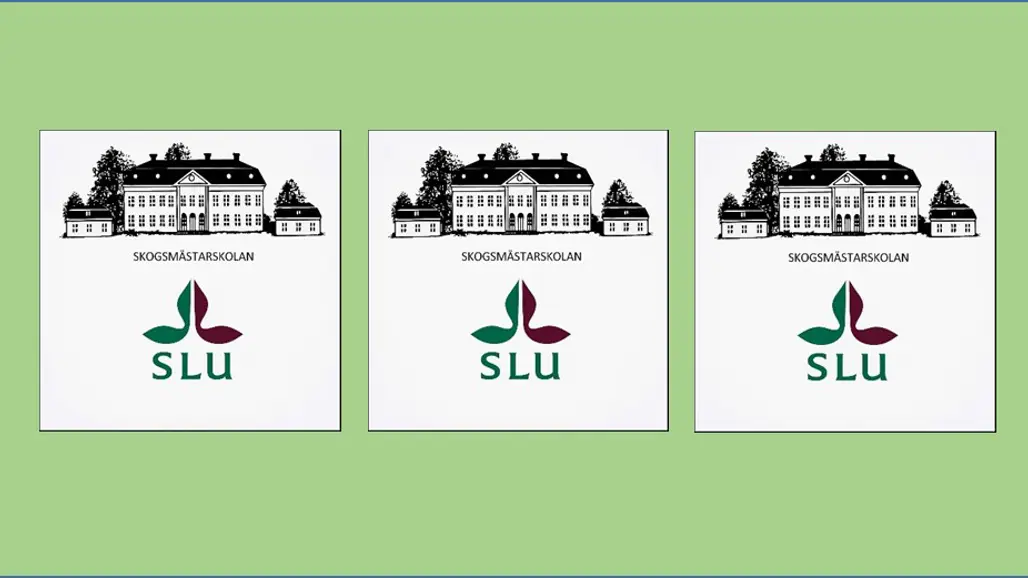 SLU_SMSK_3