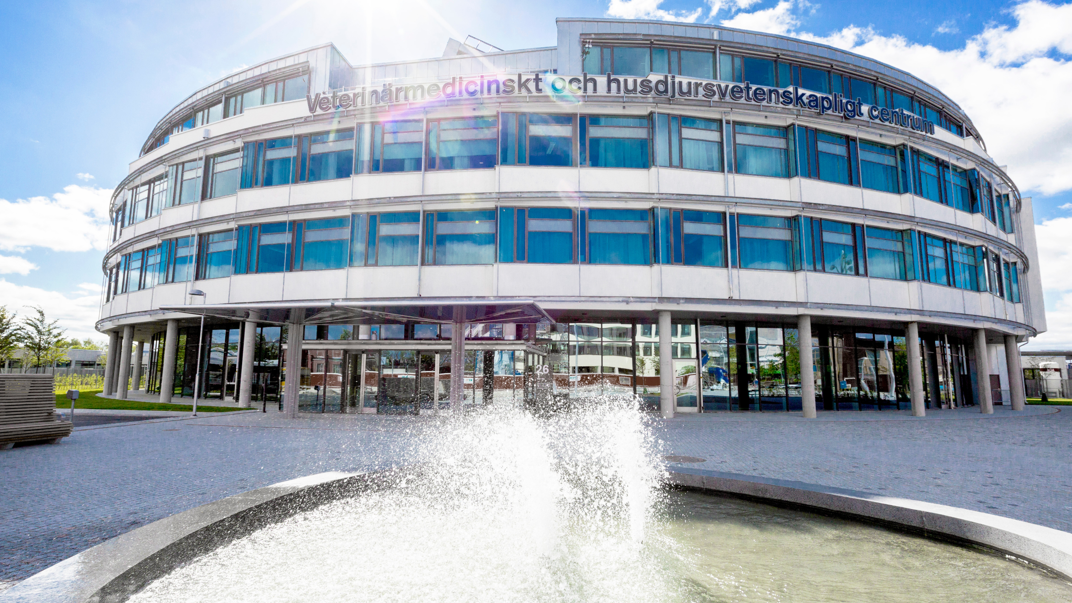Glass building with a fountain in front.