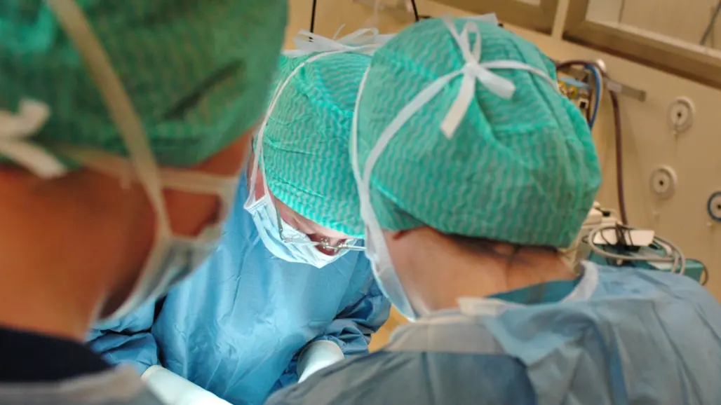 Operationsklädda veterinärer runt ett operationsbord