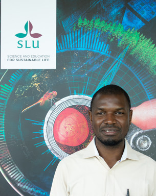 Portrait photo of Rabiu Aminu