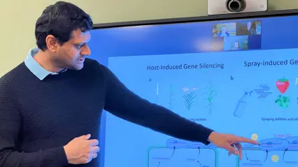 en man pekar på en skärm med en powerpointpresentation där det står Host induced gene silencing
