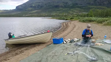 Woman sorting fish