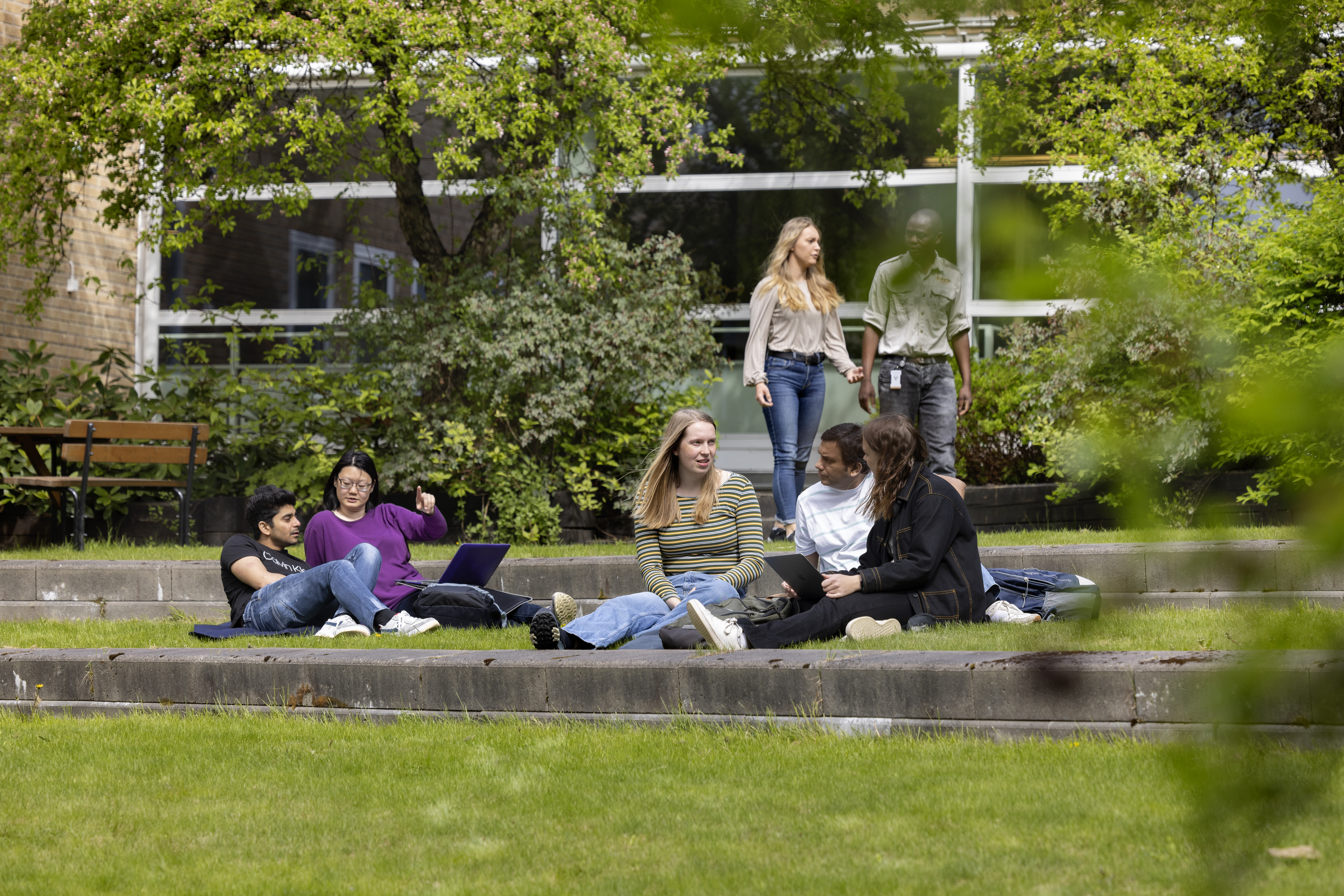 Students at the Faculty of Forest Sciences at SLU in different environments inside and outside the SLU building on the Umeå campus.