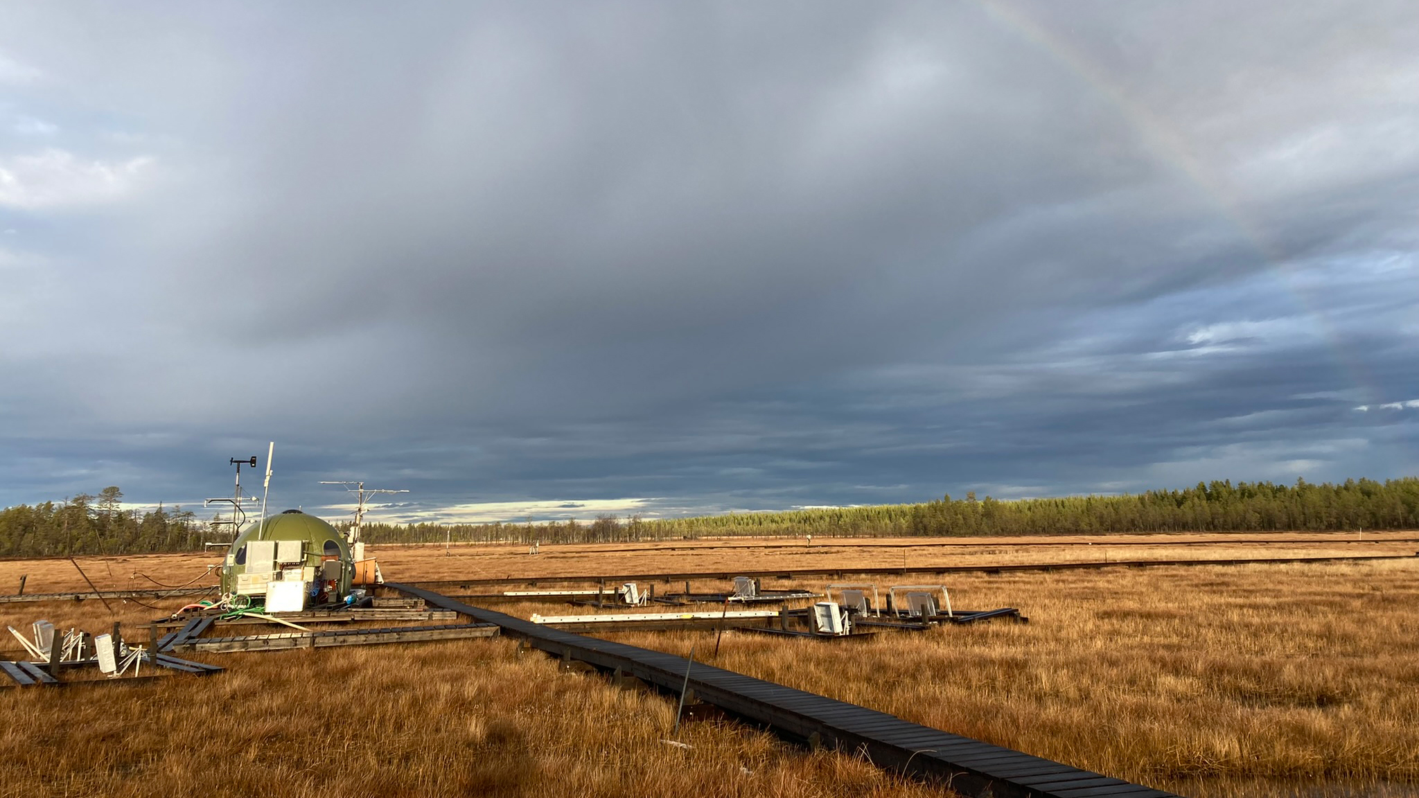 Peatlands cover a few percent of the land area, but are extremely important for the earths' total carbon stocks. Photo: Antonia Hartmann, SLU.
