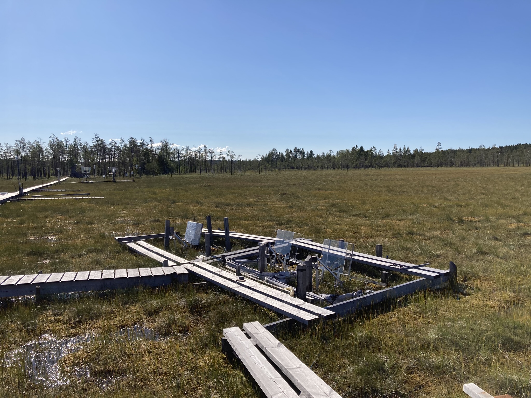 The study site at Degerö Stormyr is home to many peatland experiments from SLU. The automated climate chambers in this experiment ran from 2021 to 2023, but have been used in previous studies as well. Photo: Antonia Hartmann, SLU.