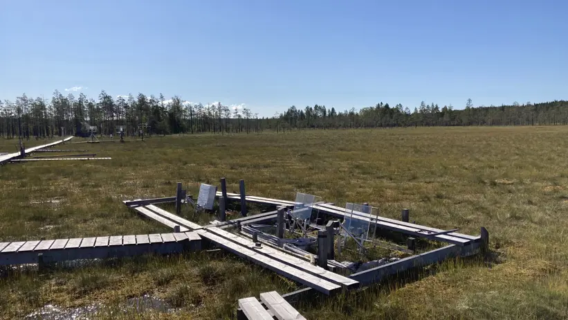 The study site at Degerö Stormyr is home to many peatland experiments from SLU. The automated climate chambers in this experiment ran from 2021 to 2023, but have been used in previous studies as well. Photo: Antonia Hartmann, SLU.