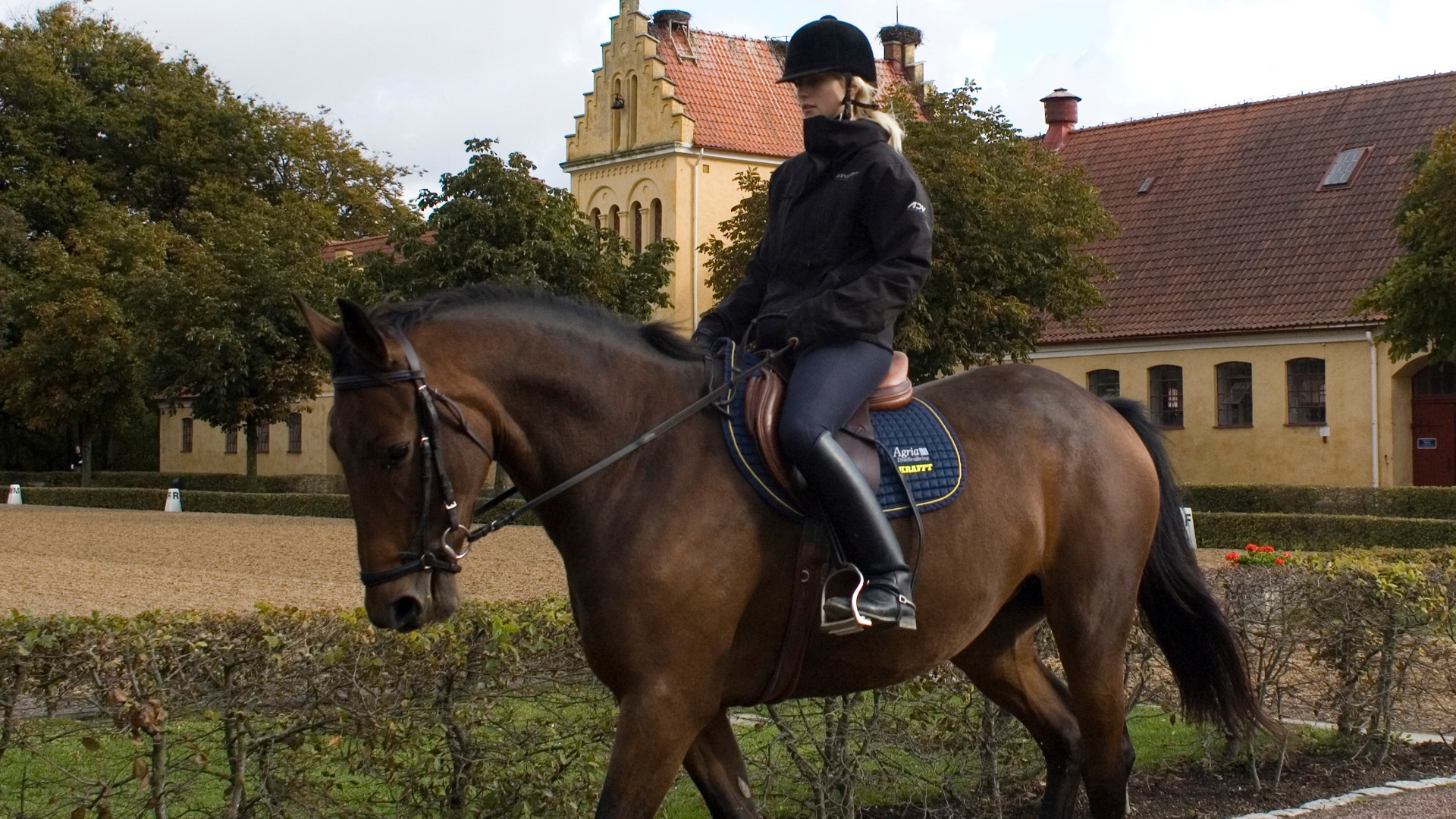 Hippologstudent vid SLU i Flyinge