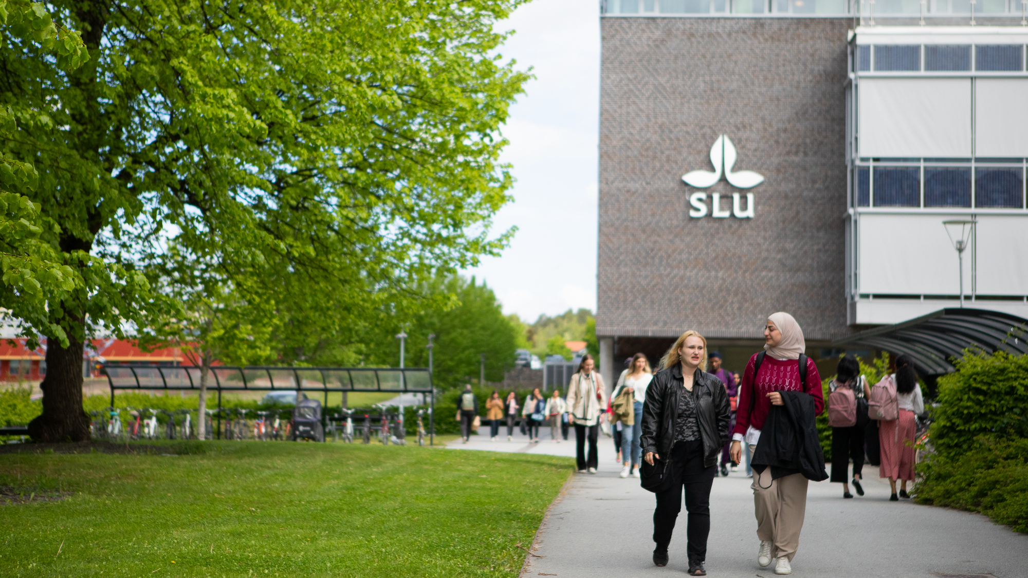 Studenter som promenerar utomhus på Campus Ultuna.