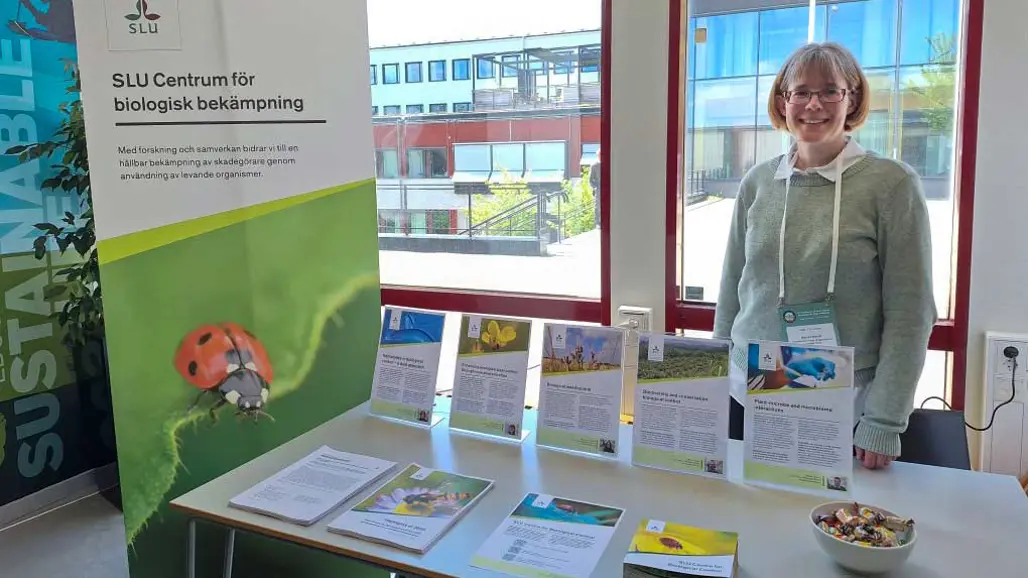 A person behind a table with flyers on it. Photo.