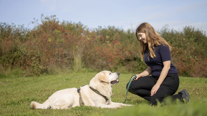 Foto av kvinna sittandes på huk bredvid en gul labrador retriever.