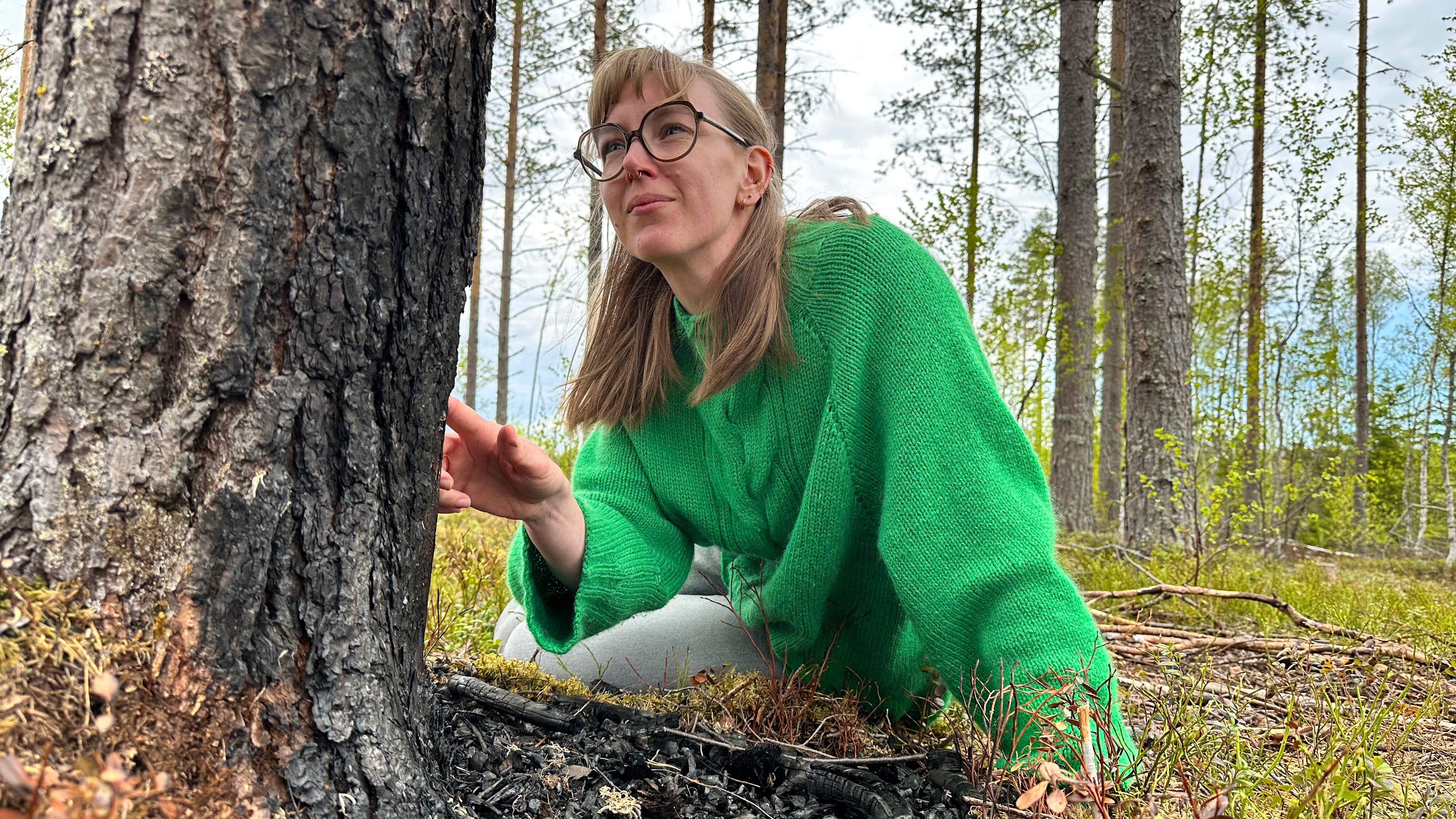 En naturvårdsbränning efterliknar de ekologiska effekterna av en skogsbrand. Kan en minibrand vid ett enda träd nå samma effekt? Det undersöker Emelie Fredriksson, forskare vid SLU. Bild: Daniel Stjärna, SLU.