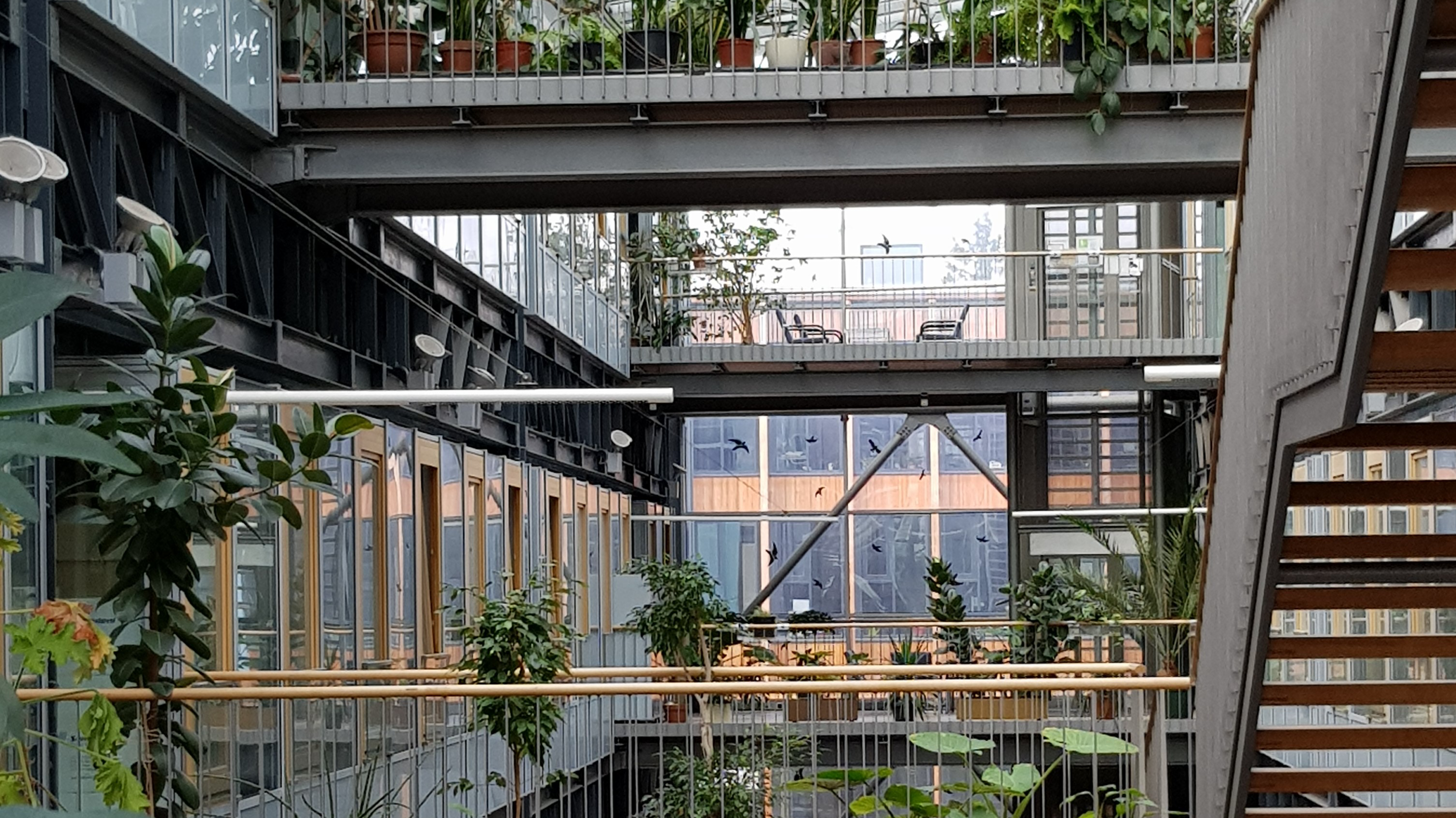 one of the Campuses buildings i Boku