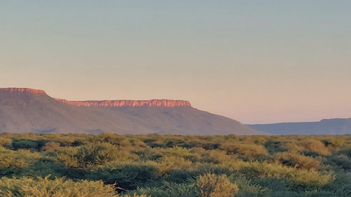 Photo of African savanna with shrubs and trees in the foreground.