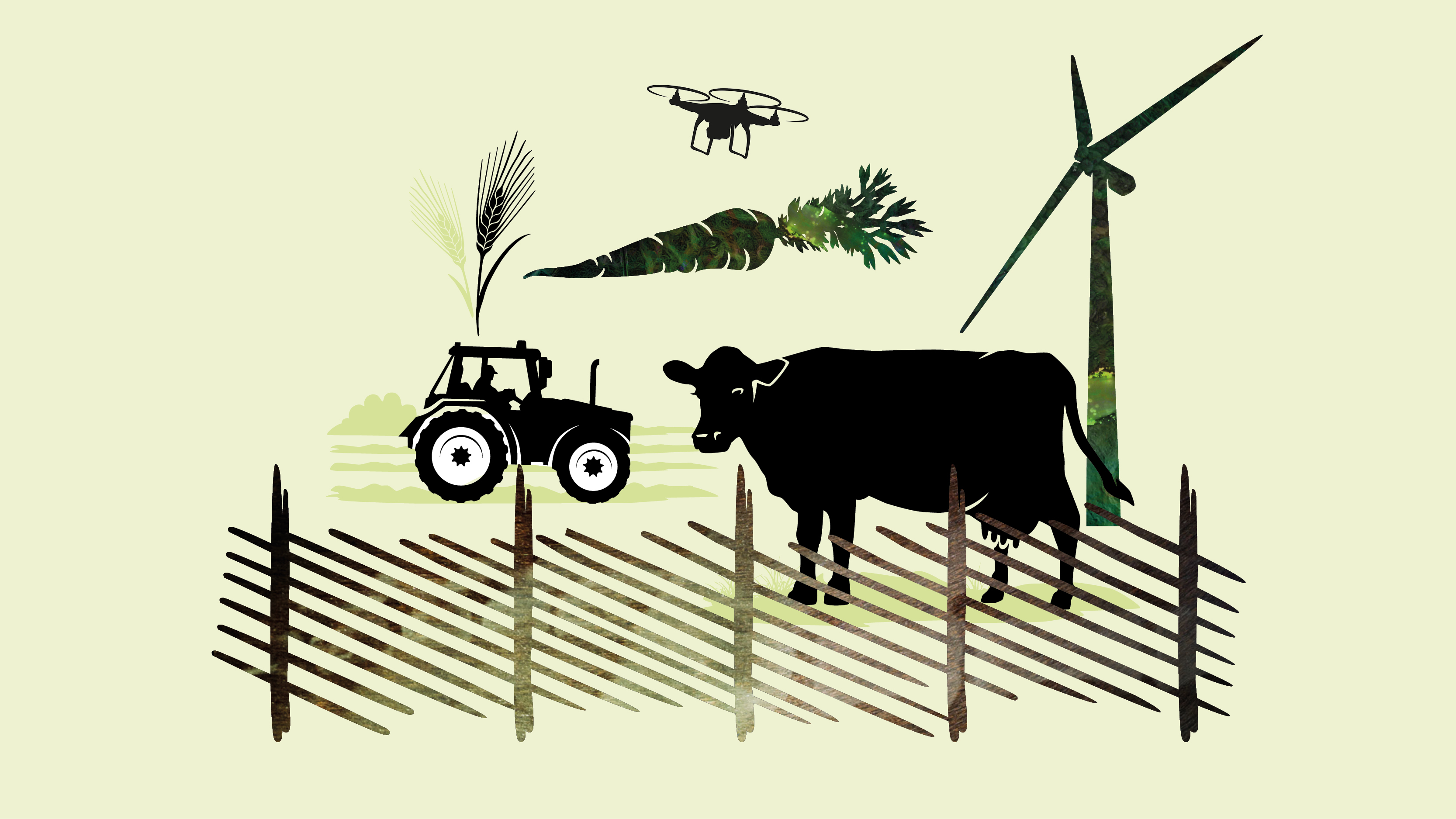 Collage illustrationer