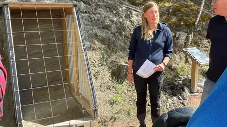 En guide står med sin grupp framför en utskärning av en ås.