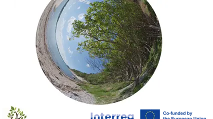 Natureach bild logo Aurora
