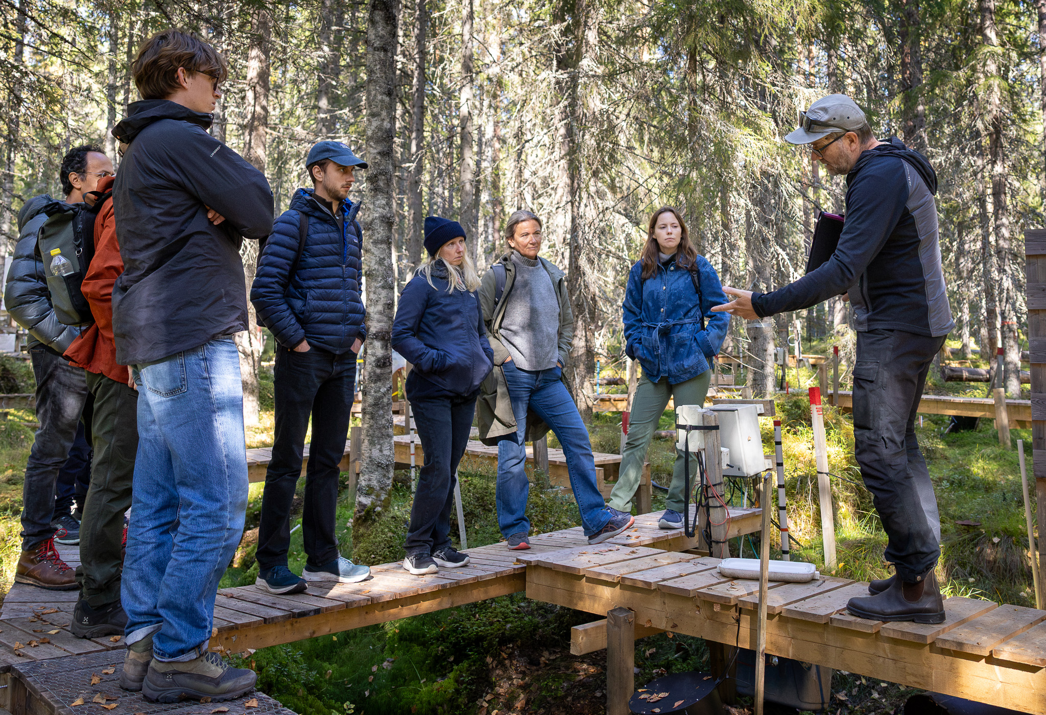 A group of visitors stand on a boardwalk in the forest, listening as a researcher explains and demonstrates monitoring equipment.