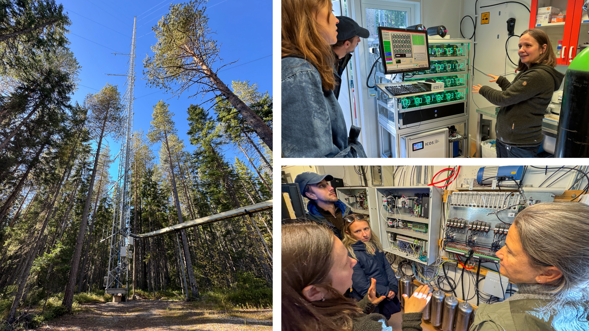 Collage showing the ICOS tower in the forest and research engineer Nataliia Kozii demonstrating monitoring equipment to visitors.