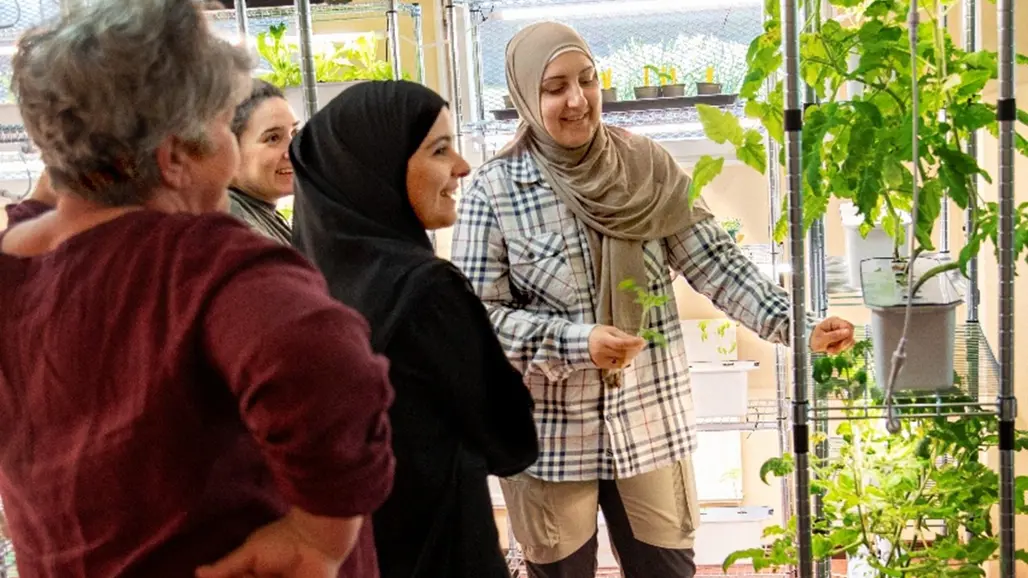 Picture of people planting greens in a basement.