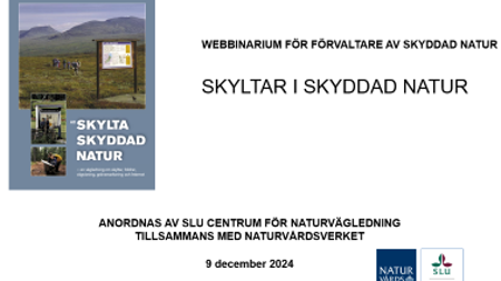 Startsida på ppt-prestation