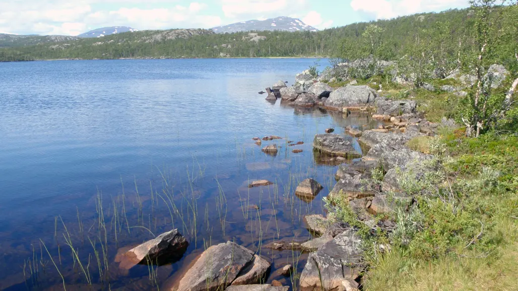 Sjökant med stenbumlingar i förgrunden och fjäll i bakgrunden. Foto.