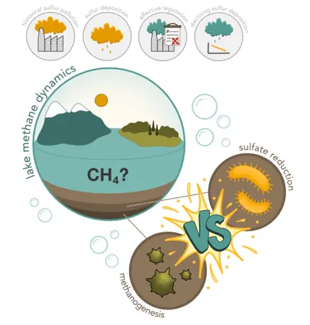 Illustration highlighting the project aim: the impact of declining sulfur deposition on lake methane dynamics, focusng the microbial competition between sulfate-reducing bacteria and methanogens.