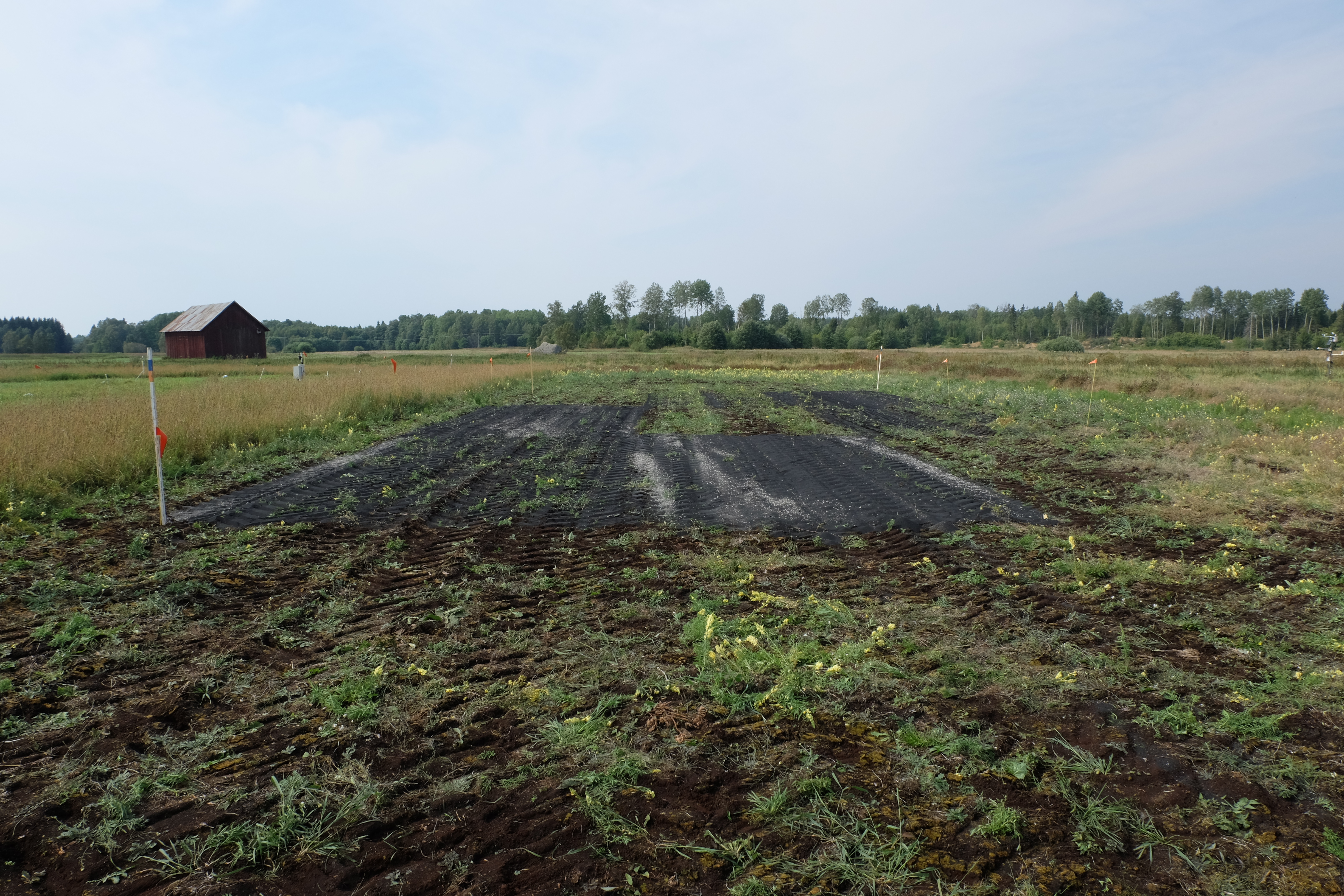 Foto på sandinblandning i torvjord