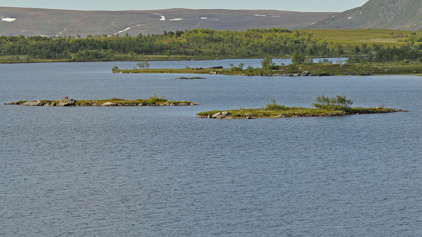 Sjö med små låga öar och stränder i ett öppet fjällandskap.