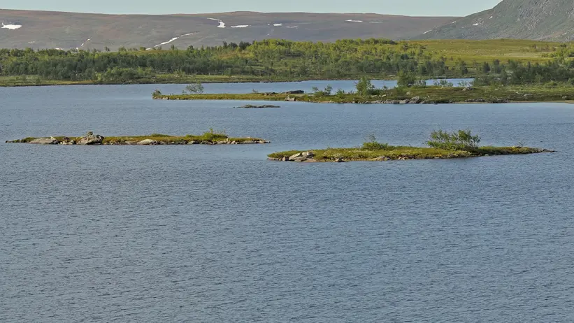 Sjö med små låga öar och stränder i ett öppet fjällandskap.