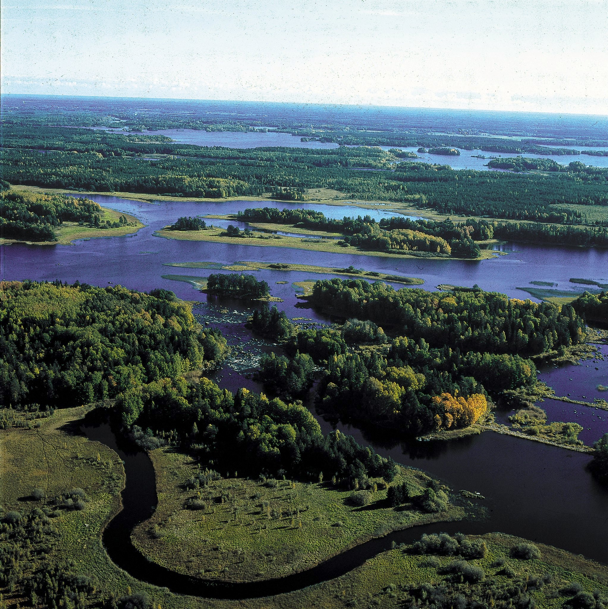 Overview of forest and lakes.