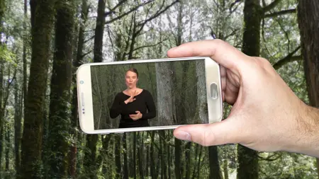 En person håller i en mobil. Mobilen visar en person som gör en teckenspråksvisning av naturområdet Bröllopsstigen i Örebro.