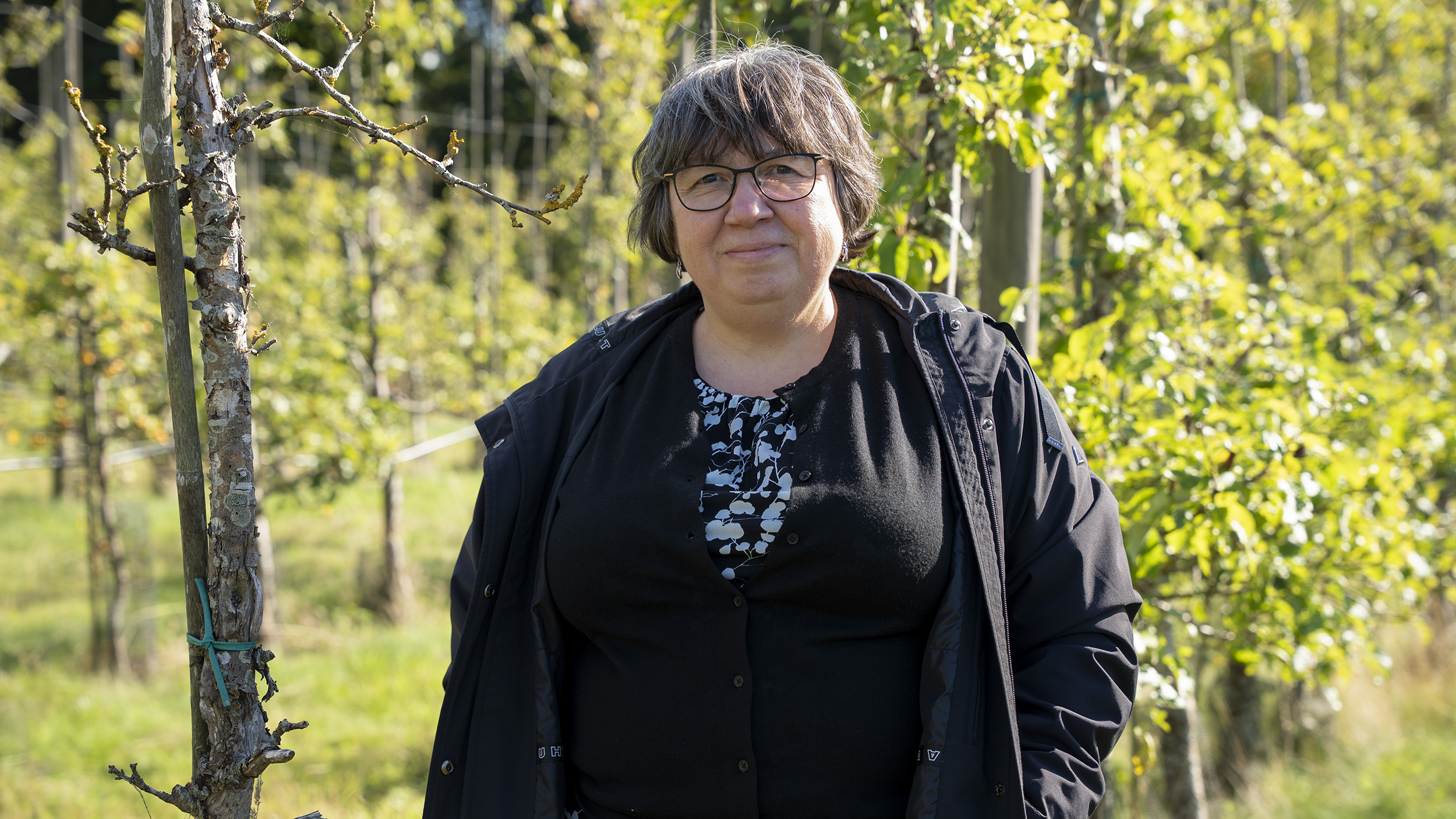Larisa stands next to a tree dead in canker in an orchard