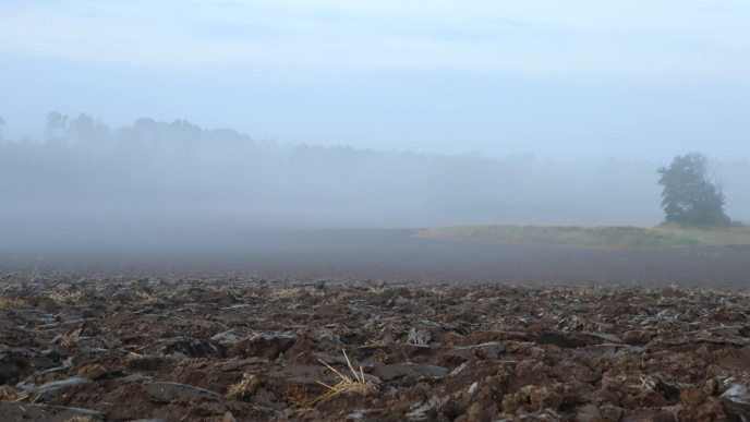Agricultural lands in fog. Photo.