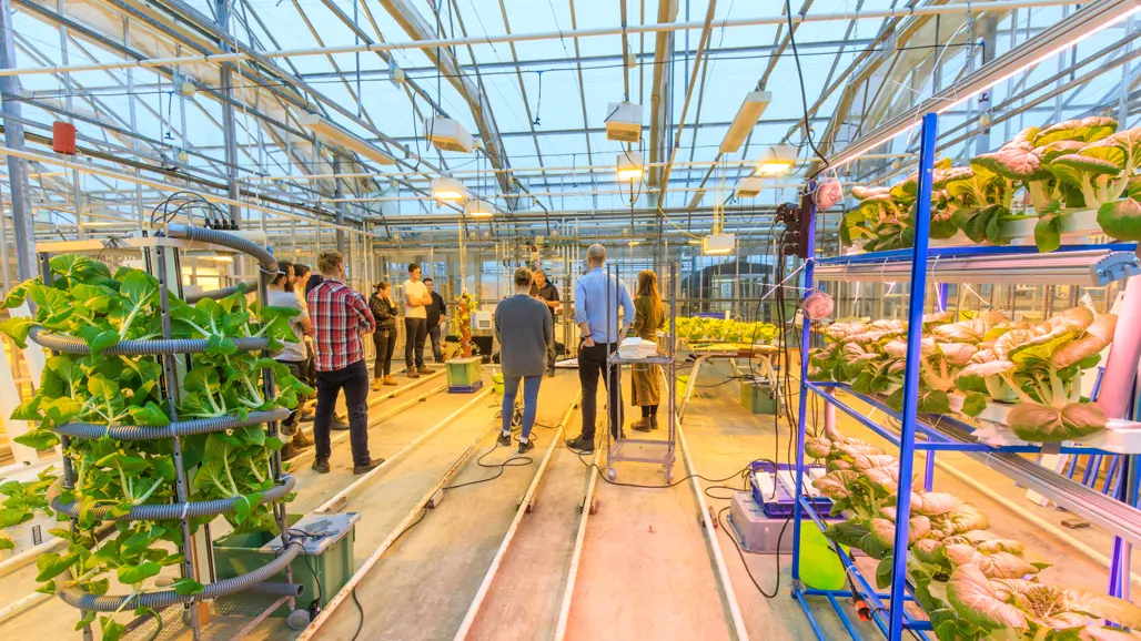 Studenter i laboration där de får bygga sina egna hydroponiska odlingssystem.