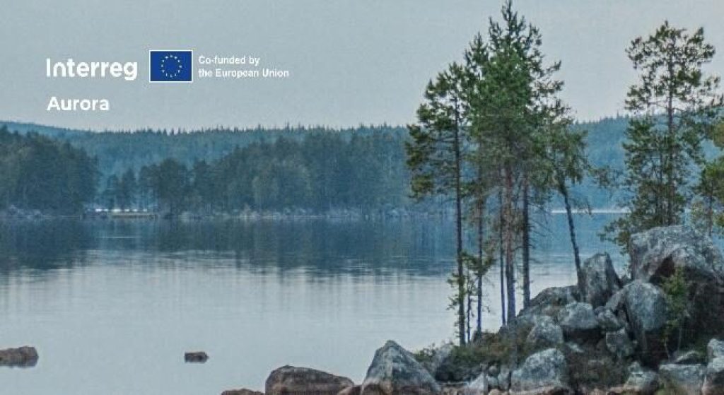 Sjölanskap med skog, tallar och klippor.