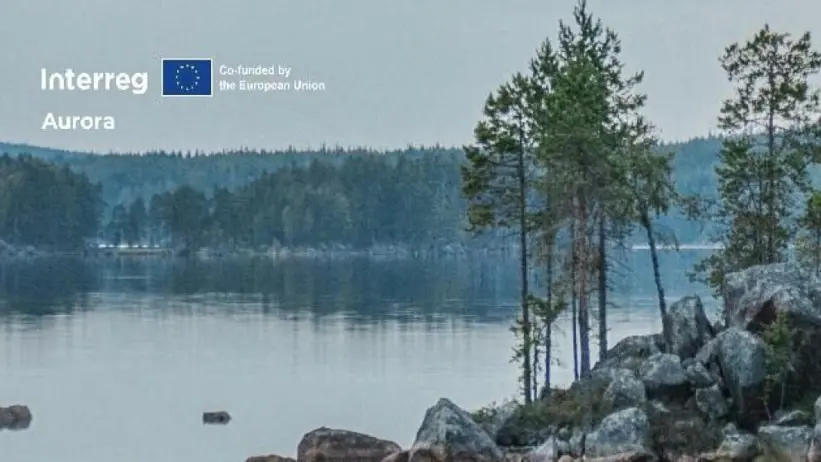 Sjölanskap med skog, tallar och klippor.