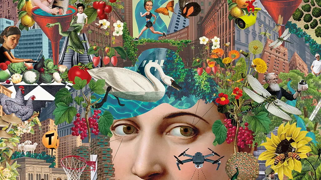 Illustrationsbild