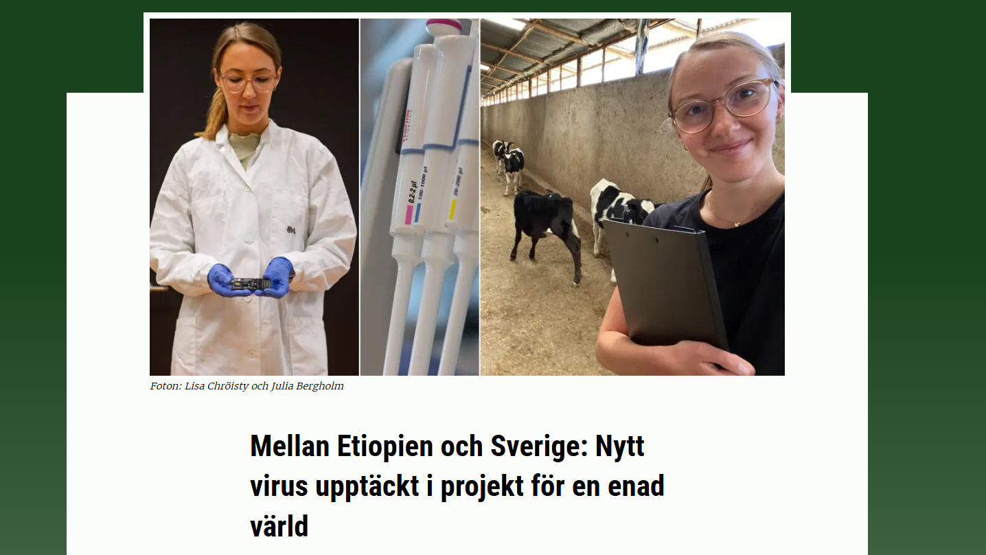 Screenshot of interview on slu.se website.