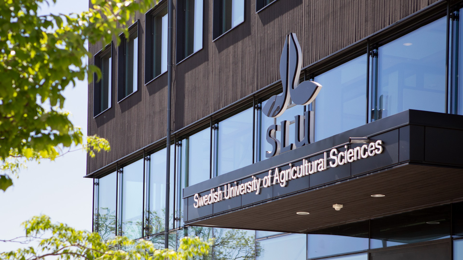 SLU:s huvudentré i Uppsala