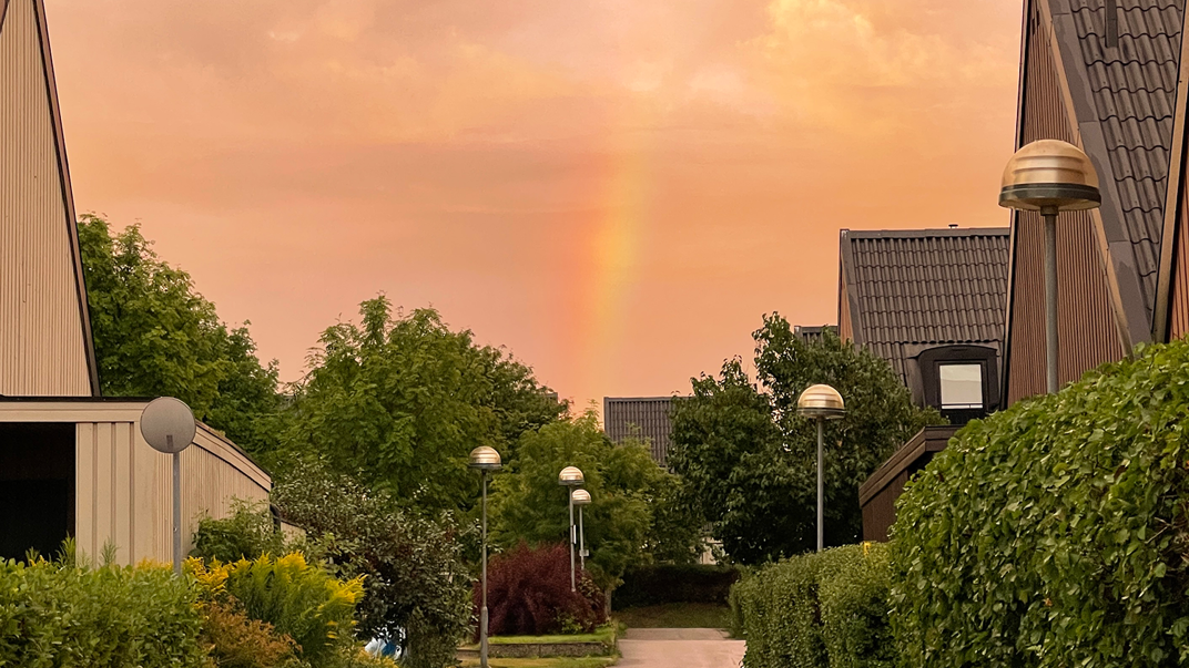 En regnbåge synlig på en rosafärgad himmel över ett villaområde