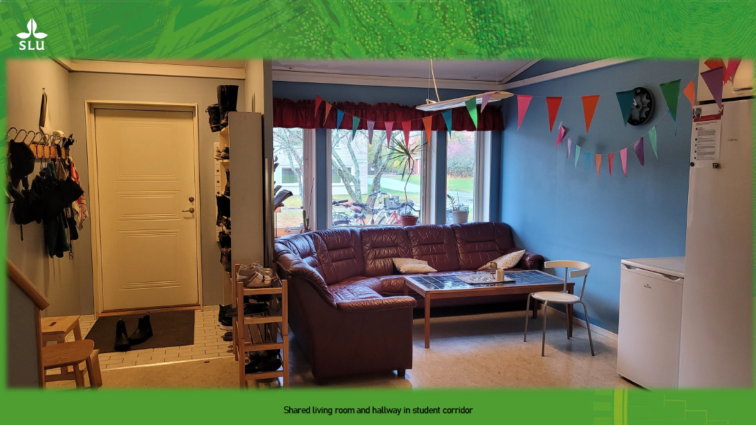 Student accommodation on Gällbovägen