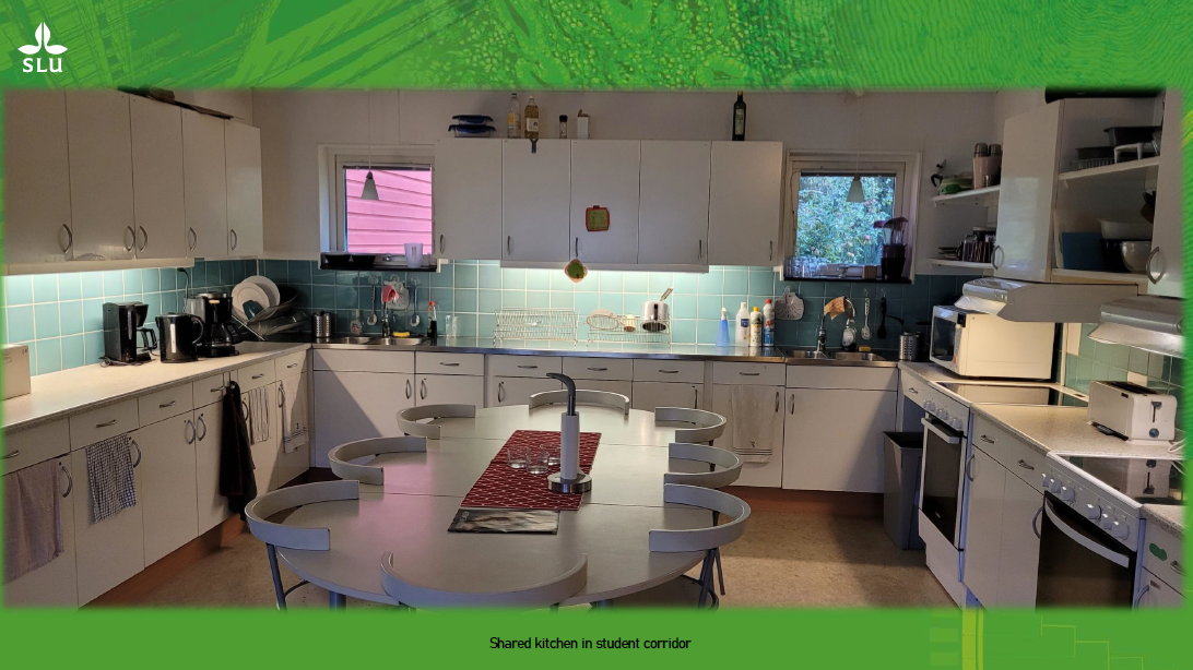 Student accommodation on Gällbovägen