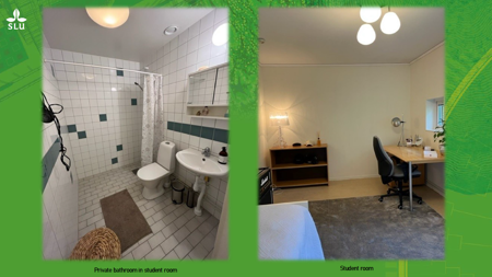 Student accommodation on Gällbovägen