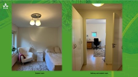 Student accommodation on Gällbovägen